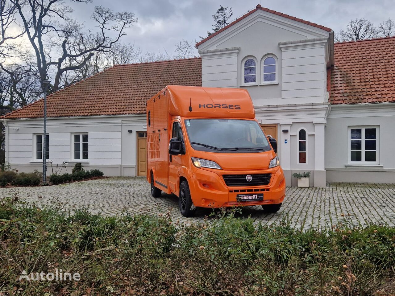 FIAT Ducato horse transporter