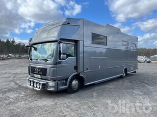 MAN TG-L 12.250 AK horse transporter