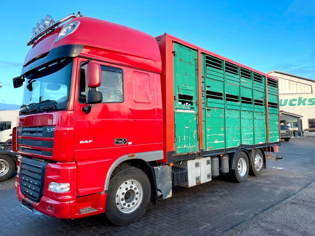 DAF  XF 105.460  livestock truck