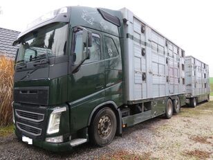 Volvo FH4-460 Finkl livestock truck + livestock trailer